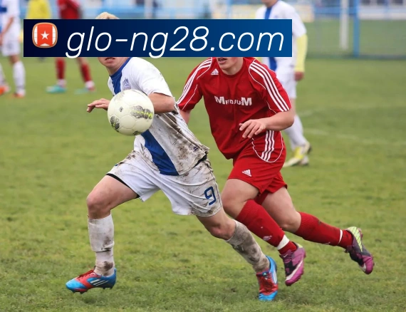 NG体育官网平台生态图